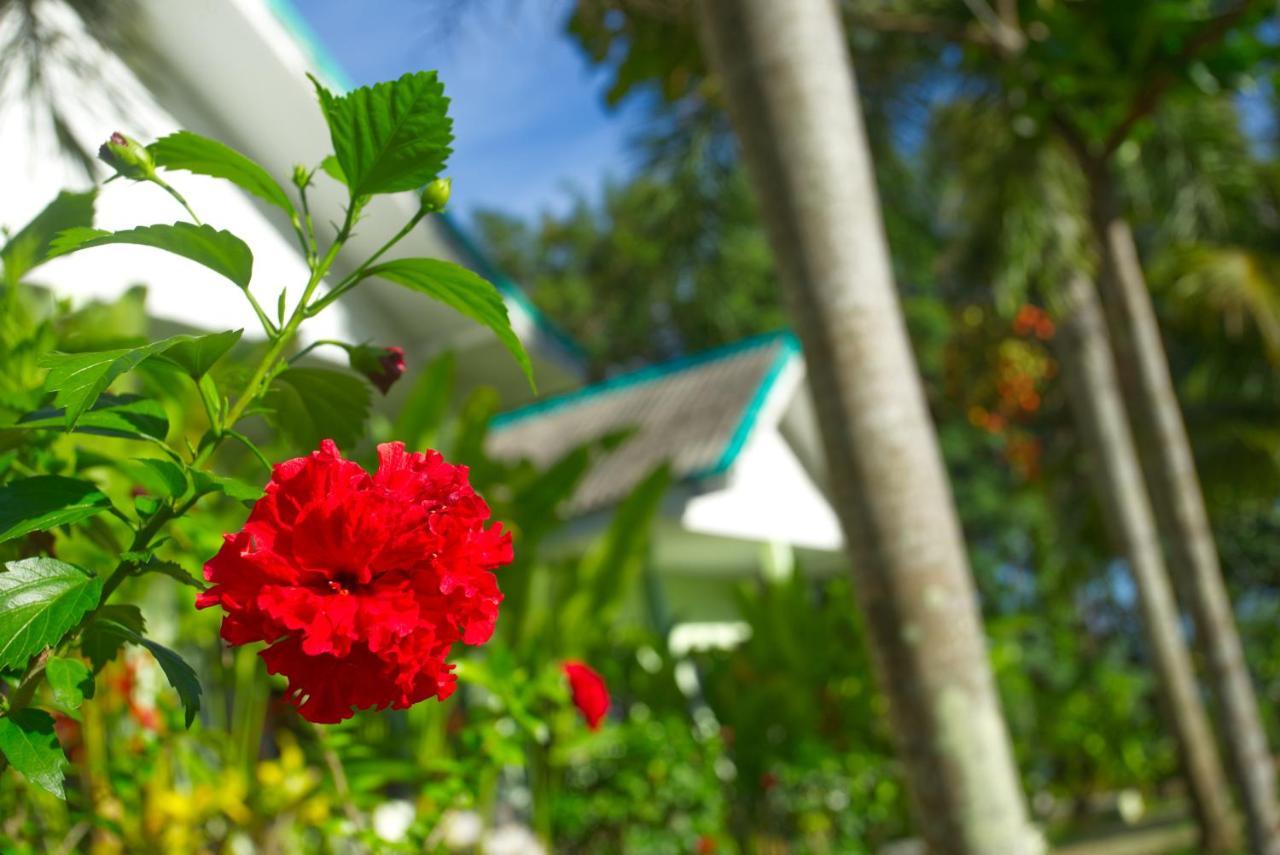 Sea View Resort Ко Мак Екстериор снимка